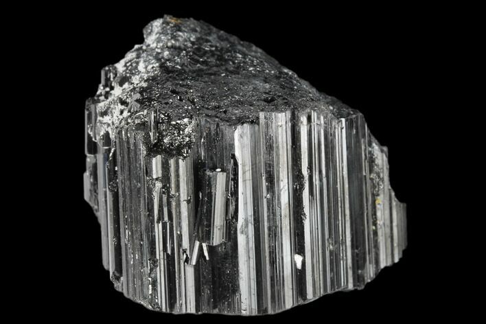 Terminated Black Tourmaline (Schorl) Crystal - Madagascar #174109